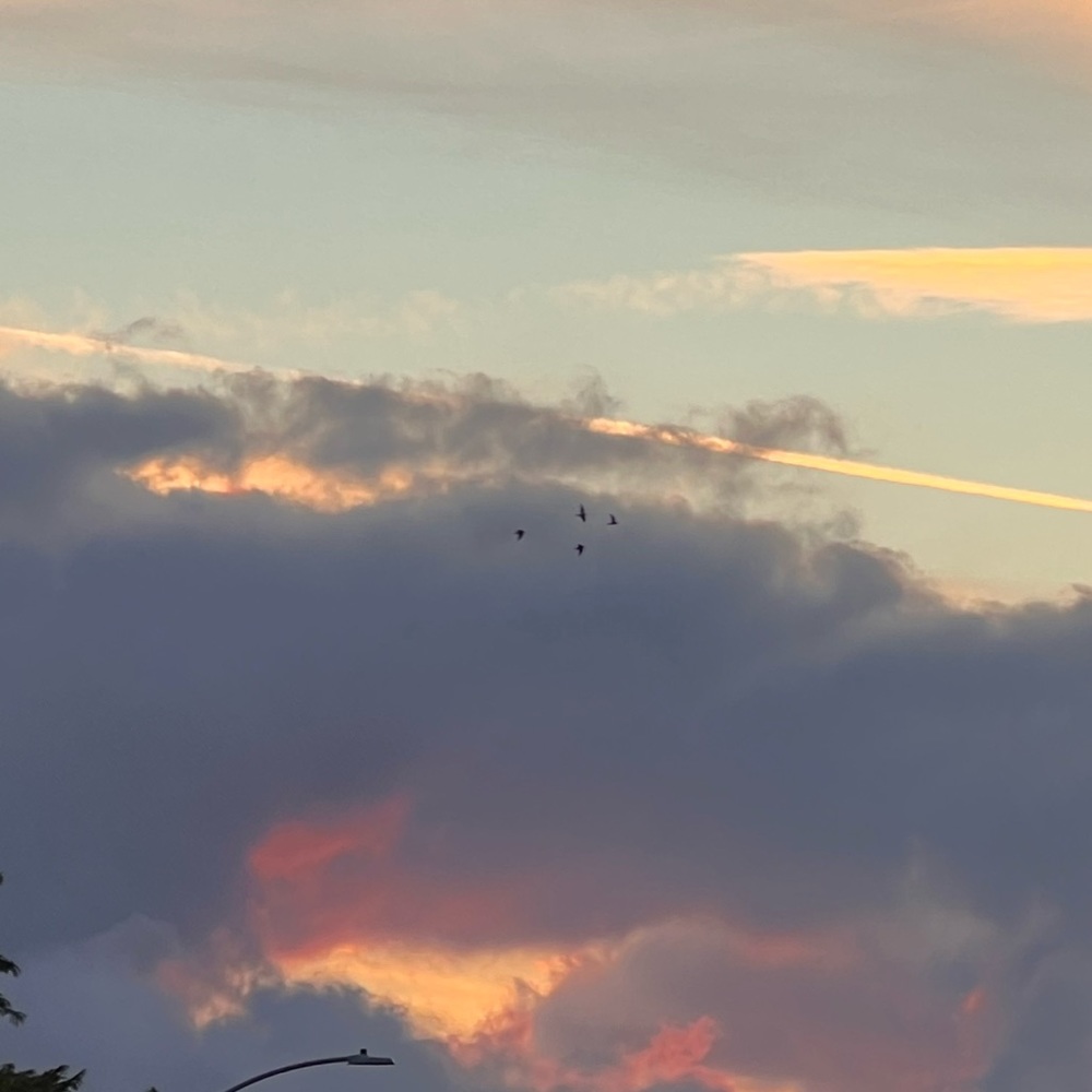 Meet your Posher, Joseph